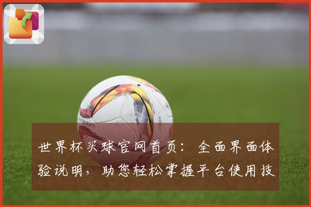 世界杯买球官网首页：全面界面体验说明，助您轻松掌握平台使用技巧