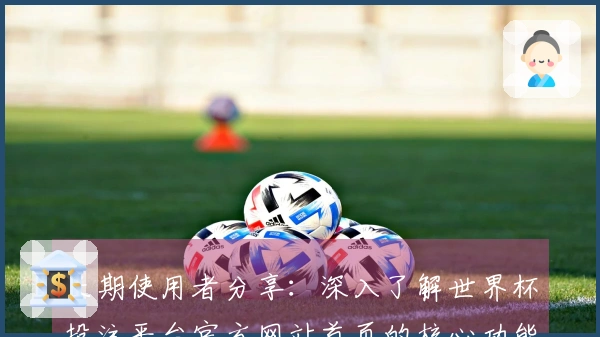 长期使用者分享：深入了解世界杯投注平台官方网站首页的核心功能与使用体验