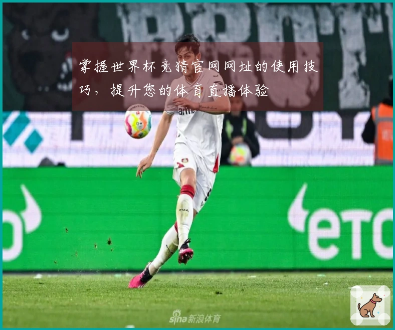 掌握世界杯竞猜官网网址的使用技巧，提升您的体育直播体验