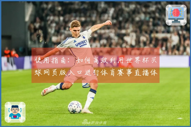 使用指南：如何高效利用世界杯买球网页版入口进行体育赛事直播体验