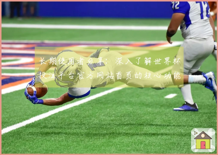 长期使用者分享：深入了解世界杯投注平台官方网站首页的核心功能与使用体验