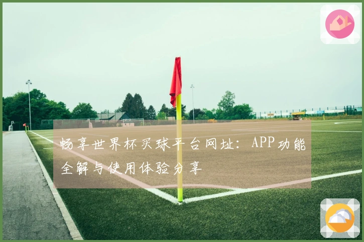 畅享世界杯买球平台网址：APP功能全解与使用体验分享