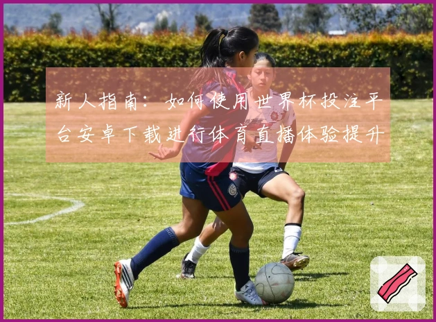 新人指南：如何使用世界杯投注平台安卓下载进行体育直播体验提升