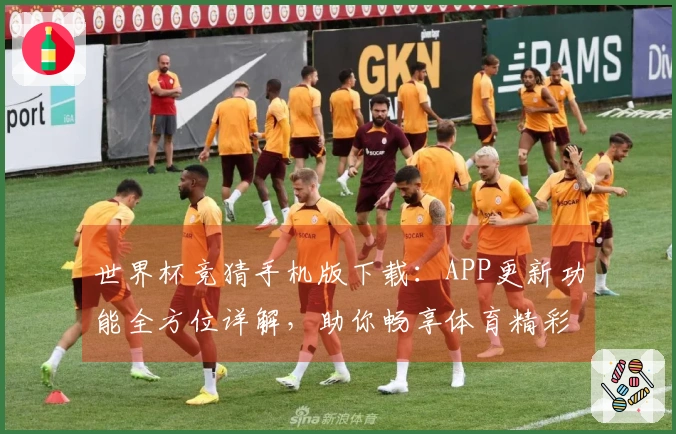 世界杯竞猜手机版下载：APP更新功能全方位详解，助你畅享体育精彩赛事
