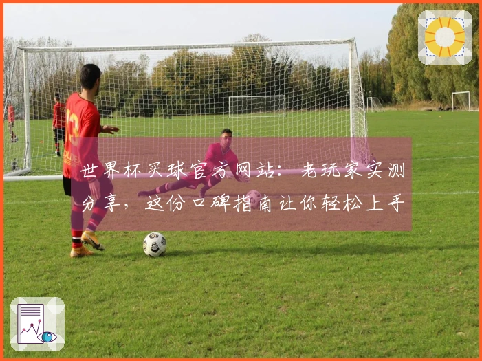 世界杯买球官方网站：老玩家实测分享，这份口碑指南让你轻松上手
