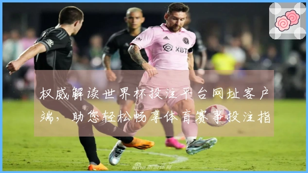 权威解读世界杯投注平台网址客户端，助您轻松畅享体育赛事投注指南