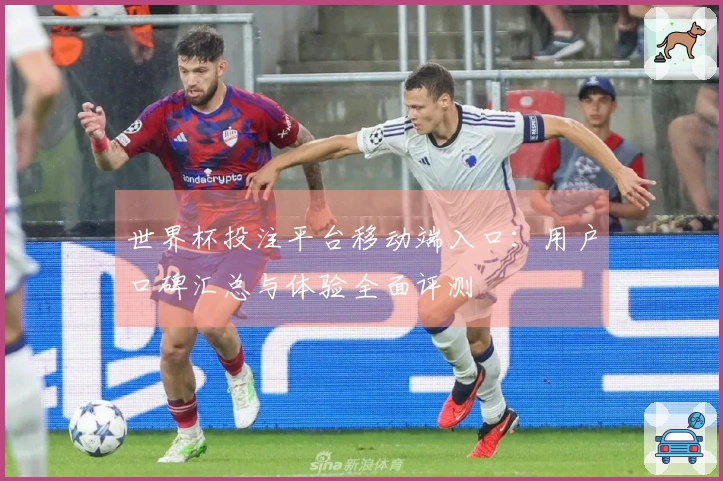 世界杯投注平台移动端入口：用户口碑汇总与体验全面评测