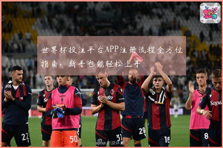 世界杯投注平台APP注册流程全方位指南，新手也能轻松上手