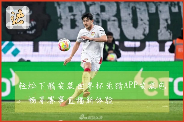 轻松下载安装世界杯竞猜APP安装包，畅享赛事直播新体验