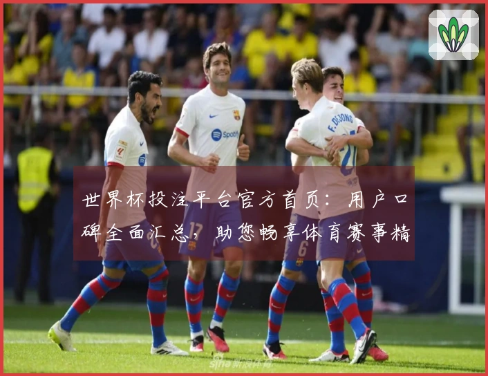 世界杯投注平台官方首页：用户口碑全面汇总，助您畅享体育赛事精彩体验