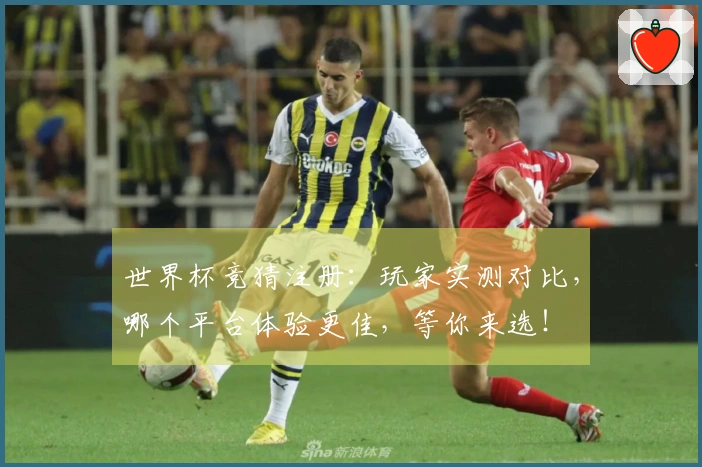 世界杯竞猜注册：玩家实测对比，哪个平台体验更佳，等你来选！